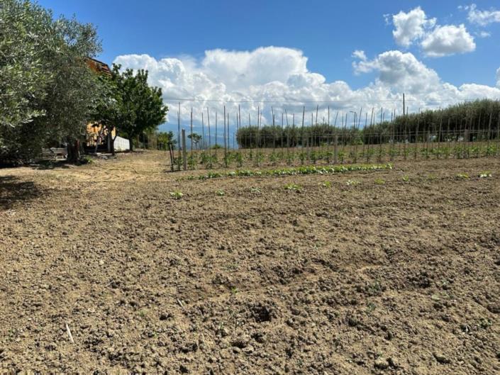 Image No.1-Land for sale