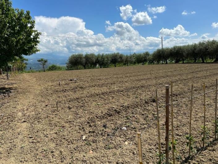 Image No.9-Land for sale