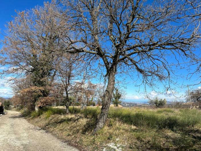 Image No.16-Land for sale