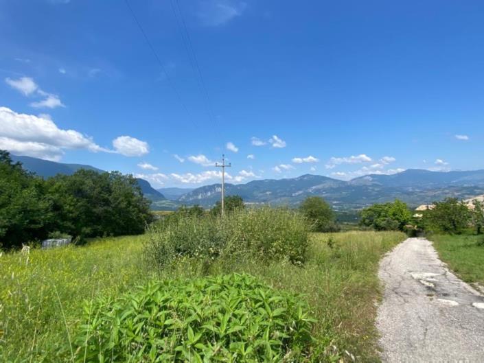 Image No.5-Land for sale