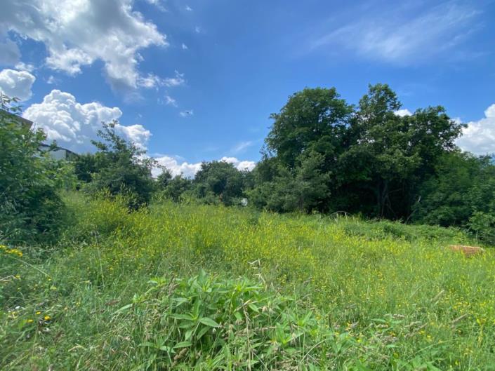 Image No.3-Land for sale