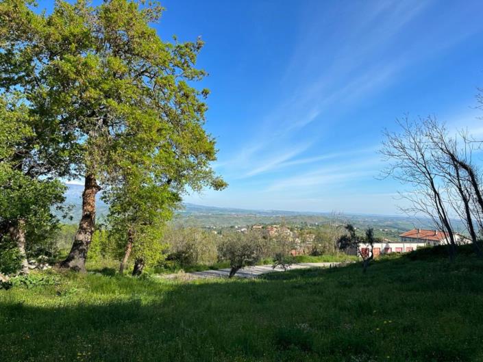 Image No.3-Terre à vendre à San Valentino in A.C.