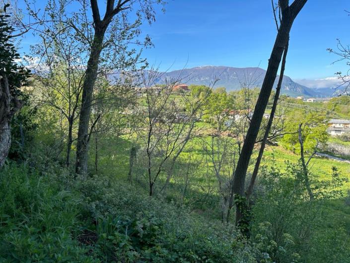 Image No.5-Terre à vendre à San Valentino in A.C.