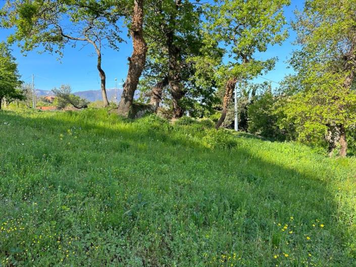 Image No.9-Terre à vendre à San Valentino in A.C.