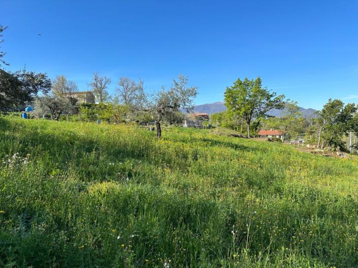 Image No.11-Terre à vendre à San Valentino in A.C.