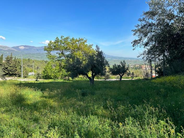 Image No.12-Terre à vendre à San Valentino in A.C.