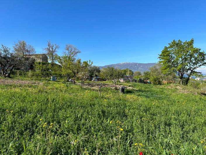 Image No.13-Terre à vendre à San Valentino in A.C.