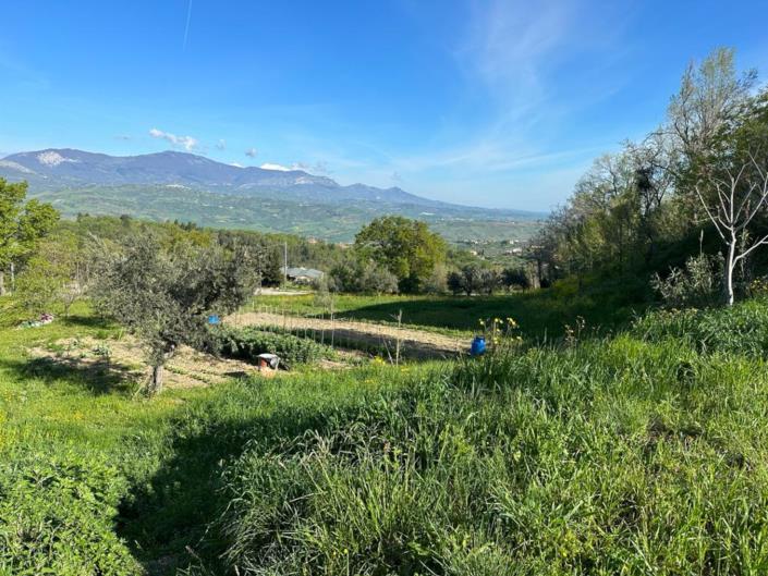 Image No.15-Terre à vendre à San Valentino in A.C.