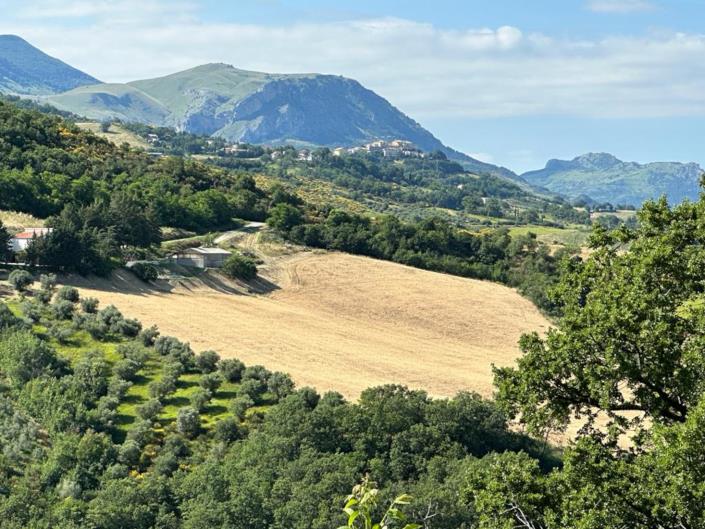 Image No.3-4 Bed Farmhouse for sale