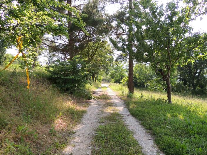 Image No.4-3 Bed Country Property for sale