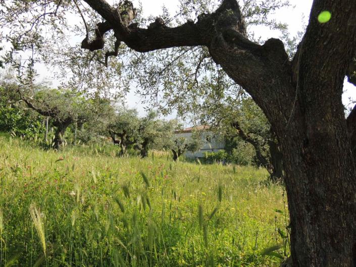 Image No.19-3 Bed Country Property for sale