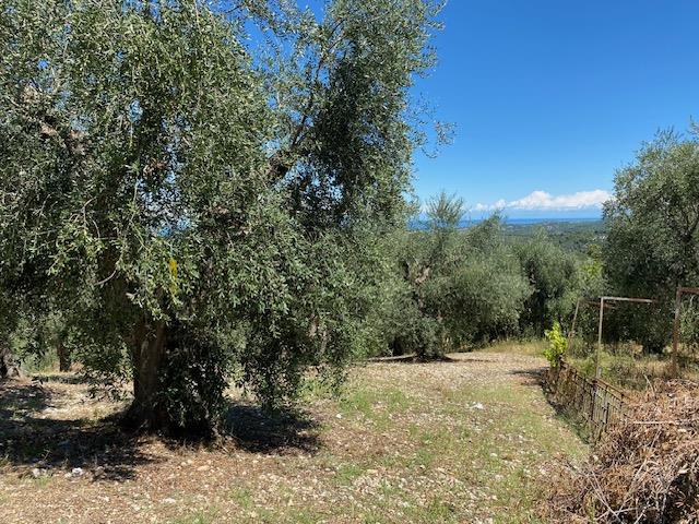 Image No.3-Maison de campagne à vendre à Vico del Gargano