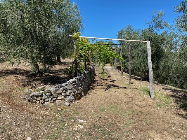 Image No.2-Maison de campagne à vendre à Vico del Gargano