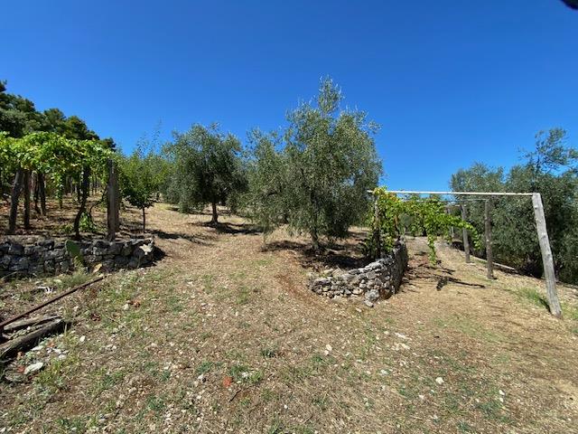 Image No.4-Maison de campagne à vendre à Vico del Gargano