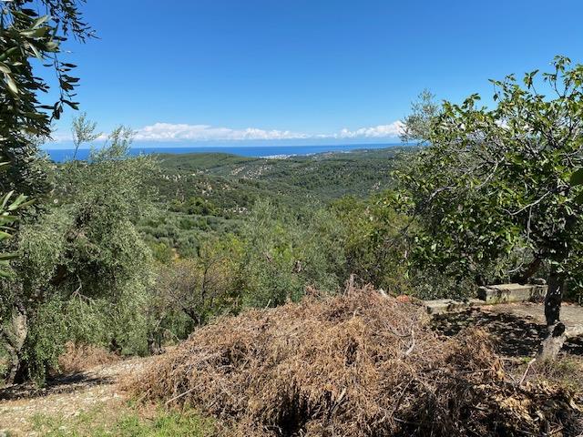 Image No.12-Maison de campagne à vendre à Vico del Gargano