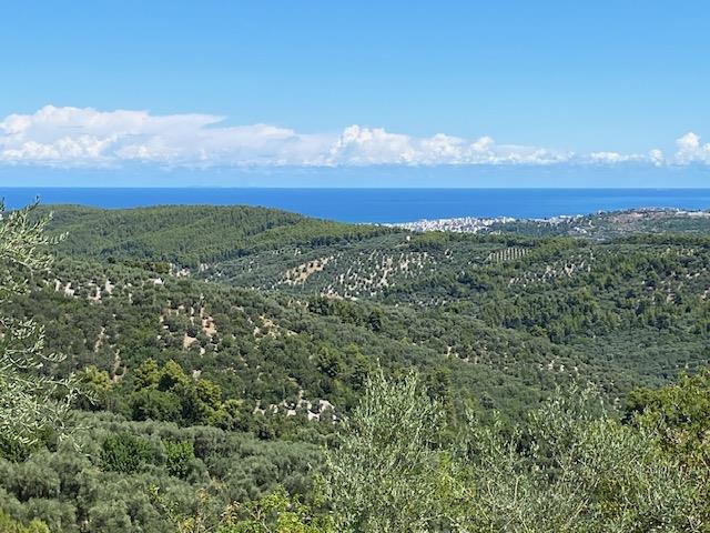 Image No.13-Maison de campagne à vendre à Vico del Gargano