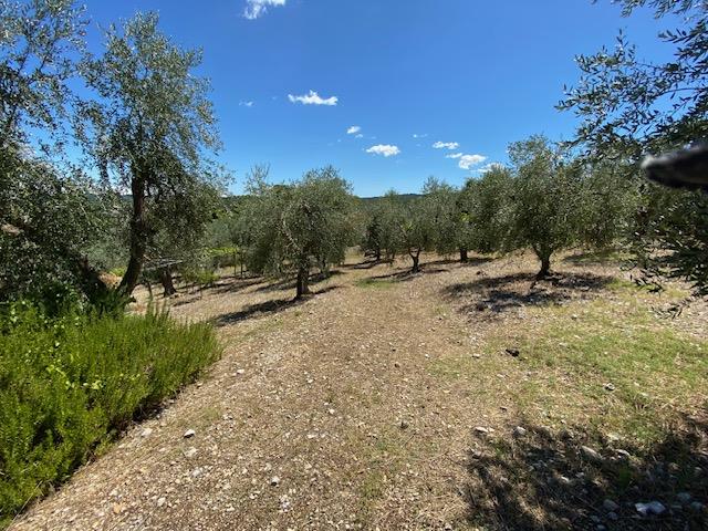 Image No.14-Maison de campagne à vendre à Vico del Gargano