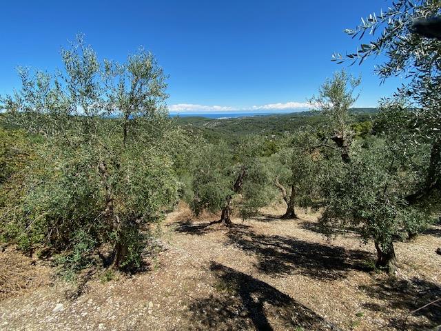 Image No.16-Maison de campagne à vendre à Vico del Gargano