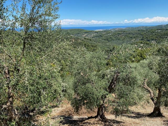 Image No.17-Maison de campagne à vendre à Vico del Gargano
