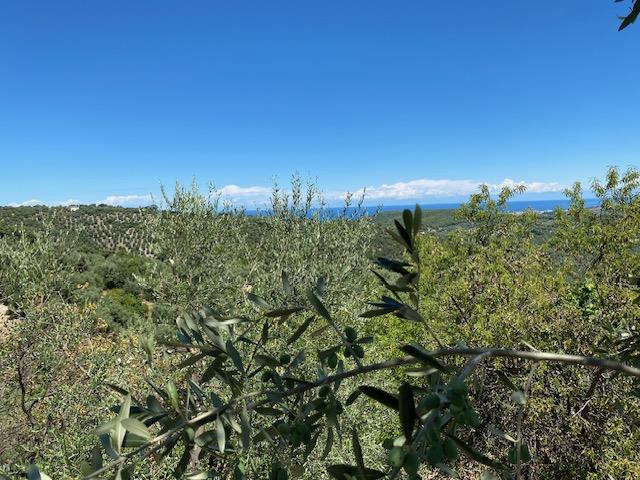 Image No.18-Maison de campagne à vendre à Vico del Gargano