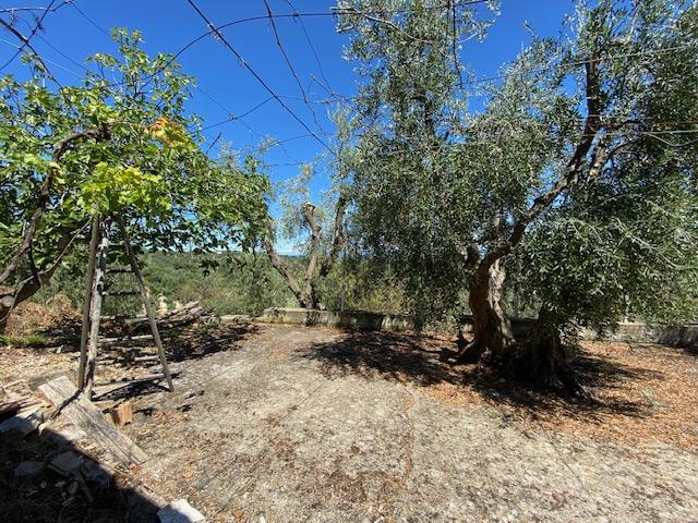 Image No.20-Maison de campagne à vendre à Vico del Gargano
