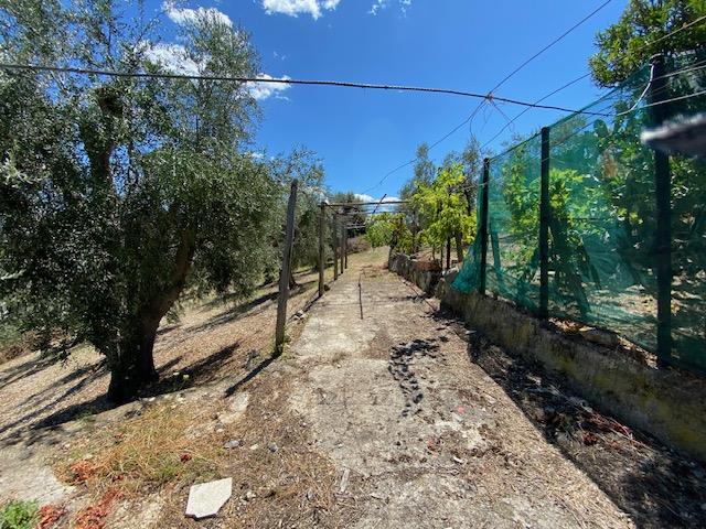 Image No.21-Maison de campagne à vendre à Vico del Gargano