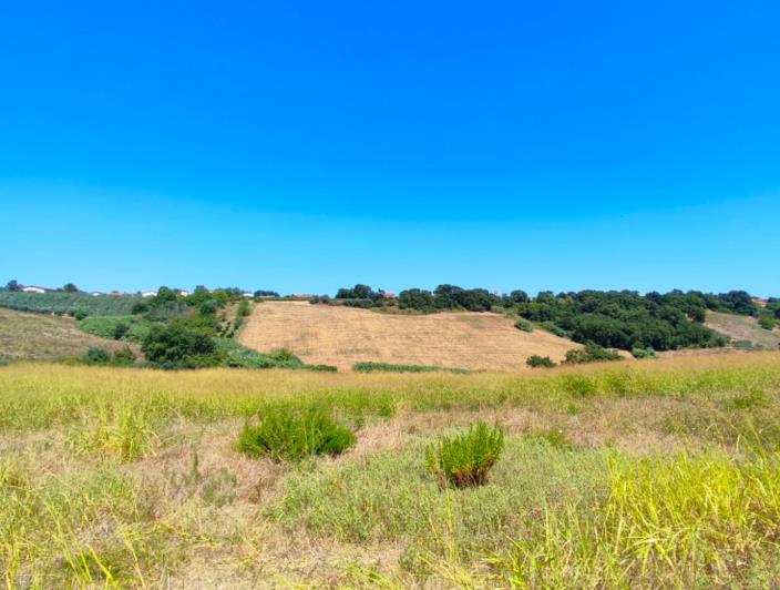 Image No.2-8 Bed Country Property for sale