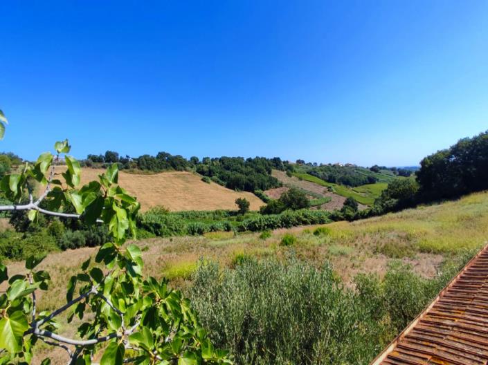 Image No.8-8 Bed Country Property for sale