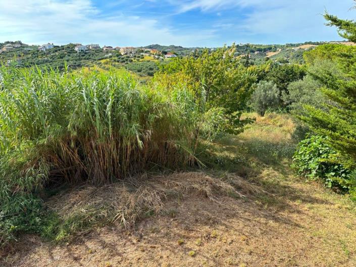 Image No.3-5 Bed Property for sale