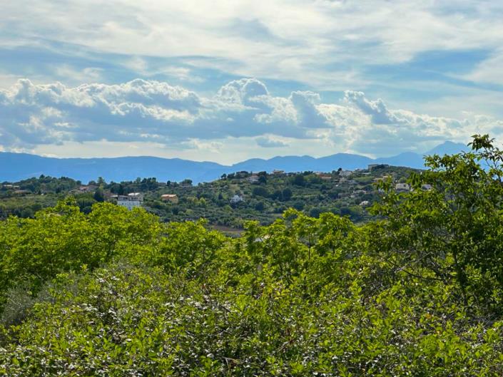 Image No.2-5 Bed Property for sale