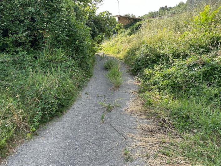 Image No.16-Farmhouse for sale