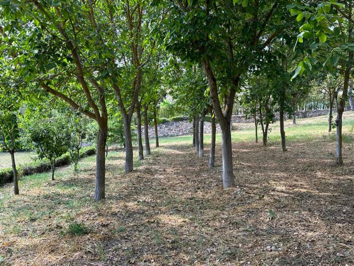 Image No.26-Restaurant for sale