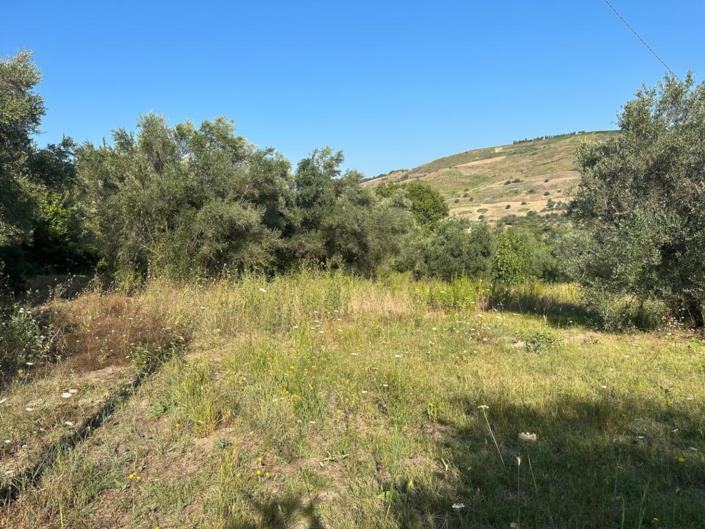 Image No.3-Land for sale