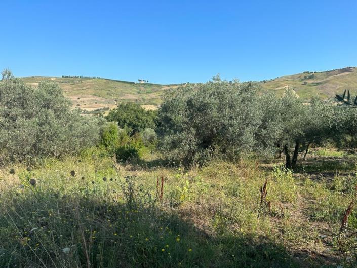 Image No.4-Land for sale