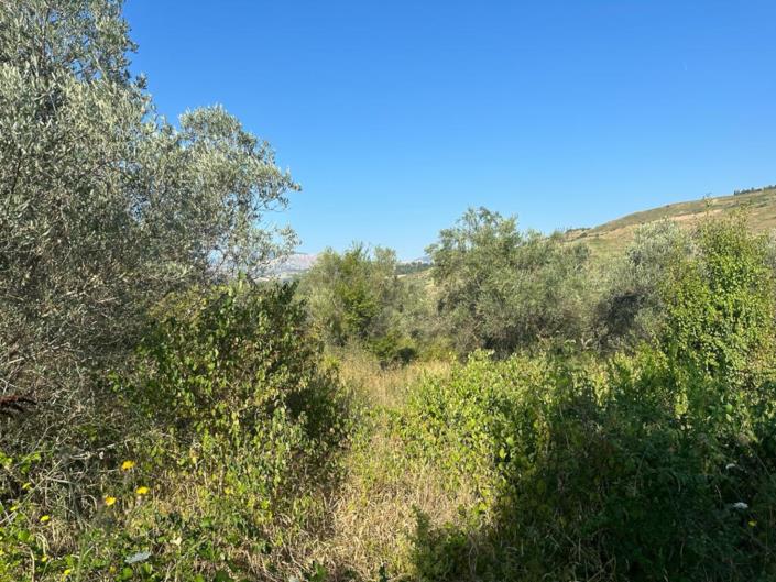 Image No.9-Land for sale