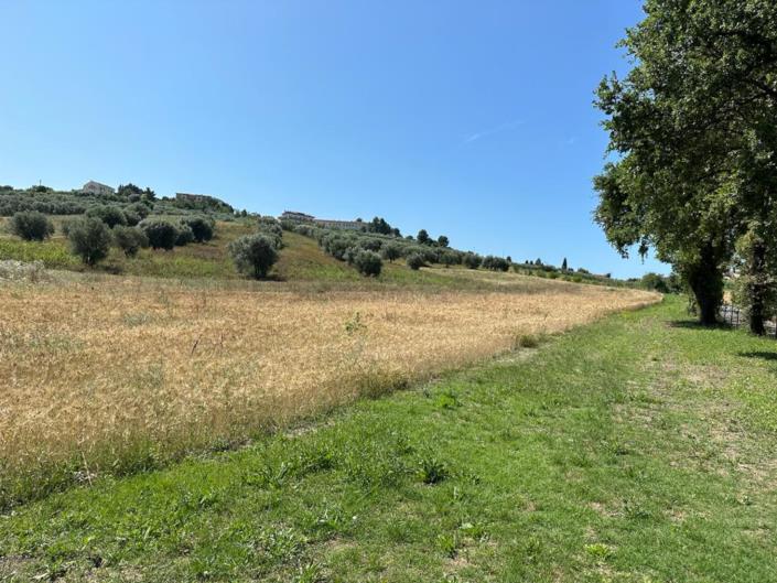 Image No.23-3 Bed House for sale