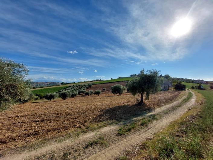 Image No.17-2 Bed Cottage for sale