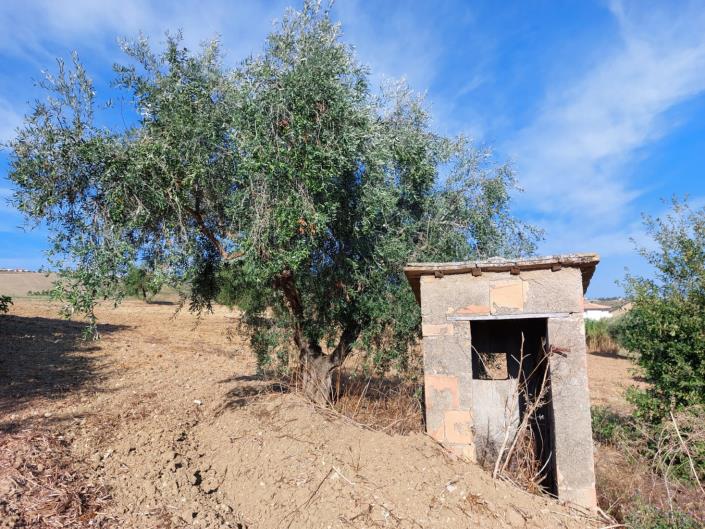 Image No.11-2 Bed Cottage for sale