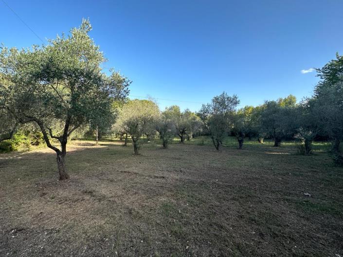 Image No.6-3 Bed Cottage for sale