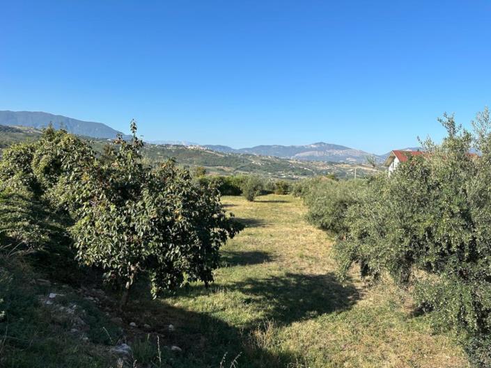 Image No.4-Terre à vendre à Lettomanoppello