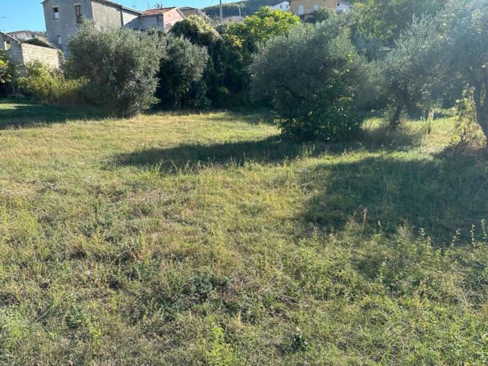 Image No.8-Terre à vendre à Lettomanoppello