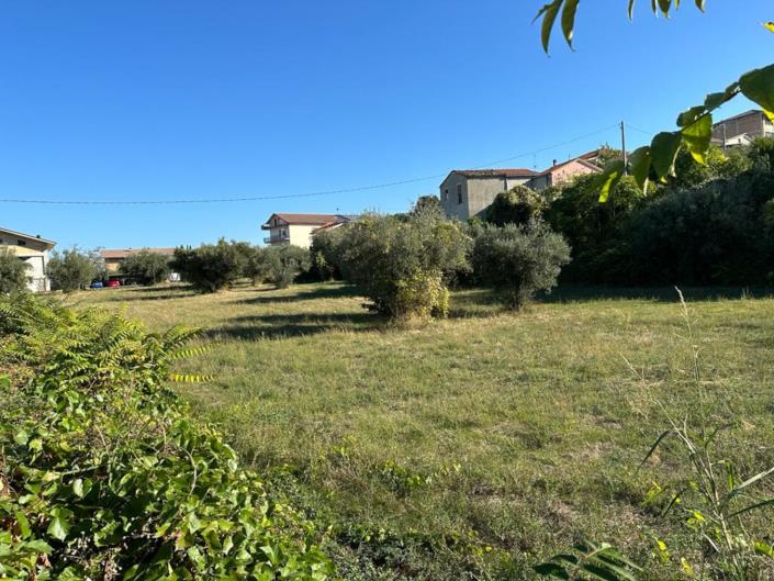 Image No.13-Terre à vendre à Lettomanoppello