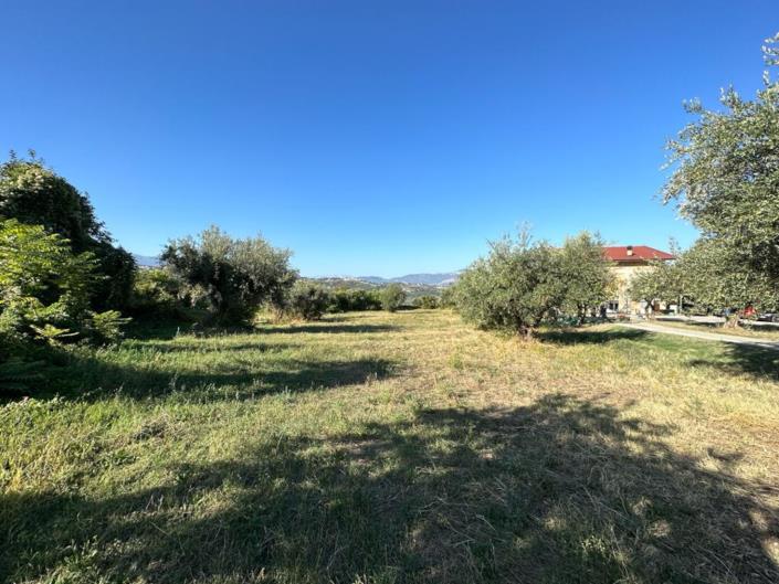 Image No.3-Terre à vendre à Lettomanoppello