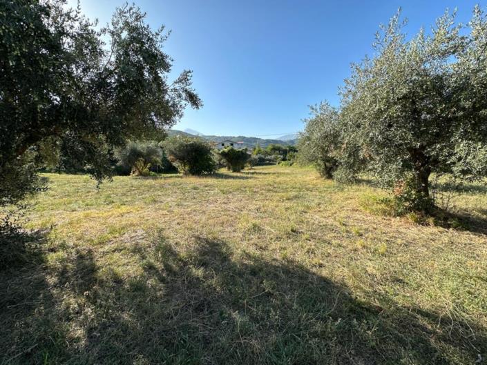 Image No.4-Terre à vendre à Lettomanoppello