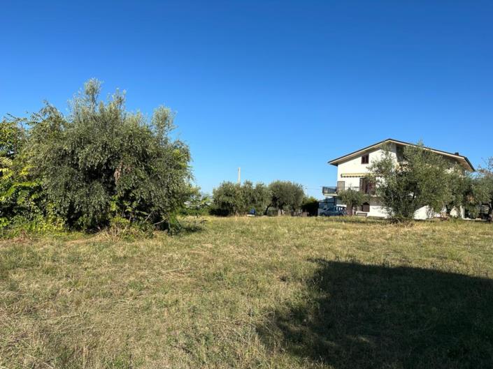 Image No.8-Terre à vendre à Lettomanoppello