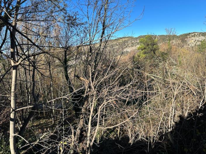 Image No.15-Land for sale