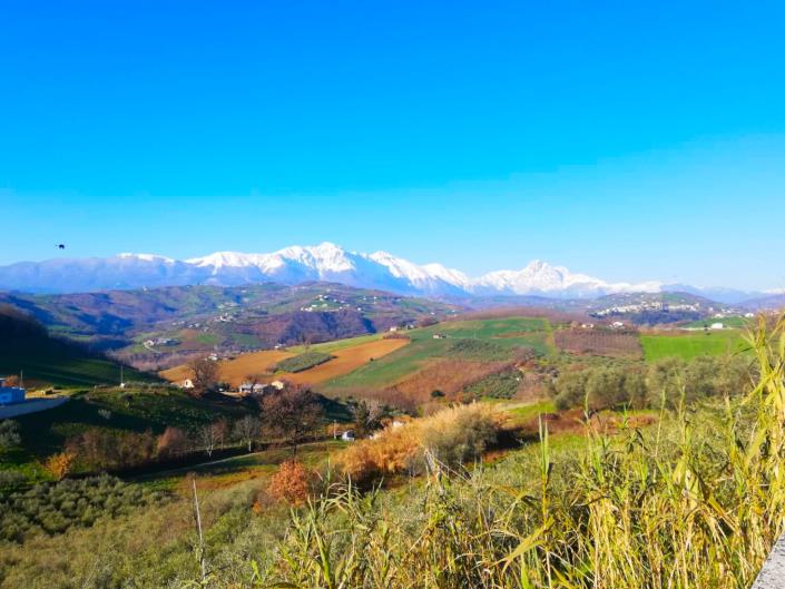 Image No.2-2 Bed Villa / Detached for sale