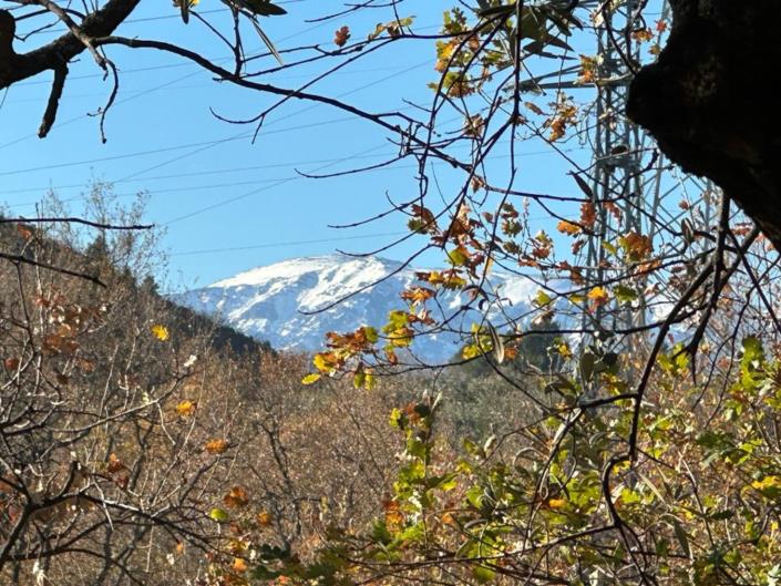 Image No.3-2 Bed House for sale