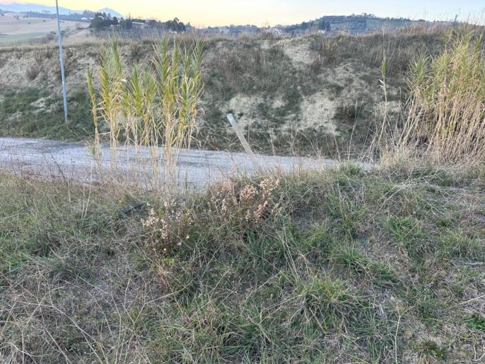 Image No.6-Terre à vendre à Montesilvano