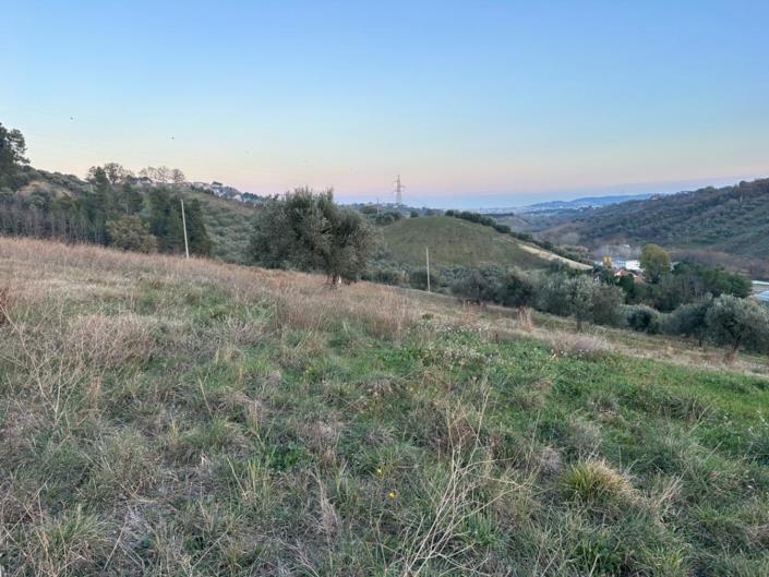 Image No.9-Terre à vendre à Montesilvano